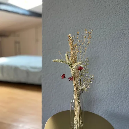 Zen Appartement Centre-Ville Historique *