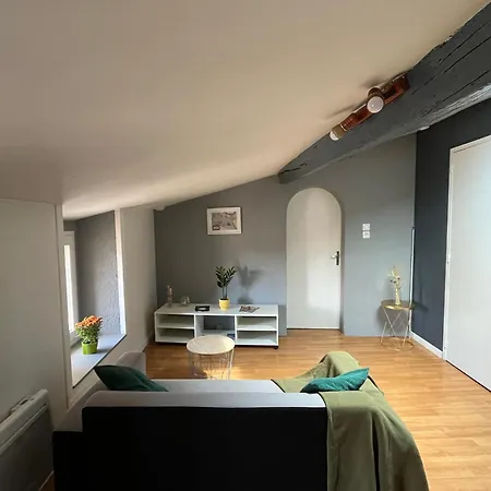 Zen Apparemment Centre-ville Historique Appartement Niort