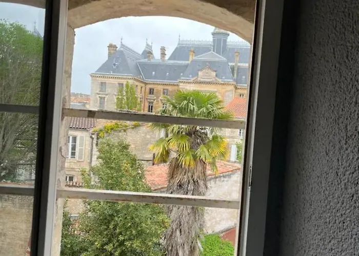 Zen Centre-ville Appartement