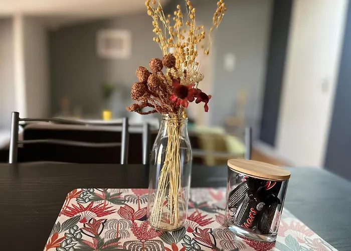 Appartement Zen Centre-ville Niort