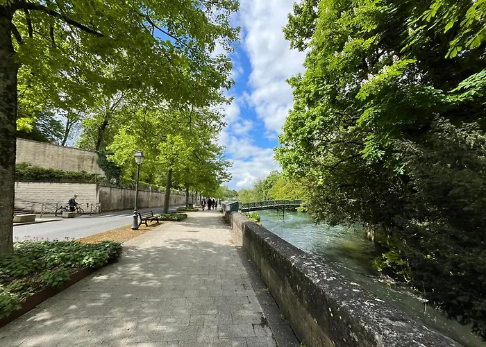 Zen Centre-ville Appartement